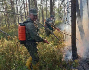 лесные пожарные тушат огонь