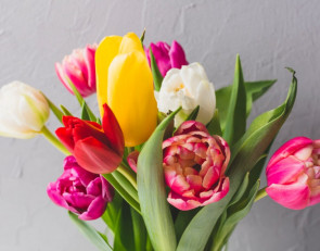 букет тюльпаны