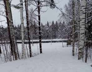 Берег реки Шуи в Салменице