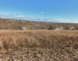 участок земли