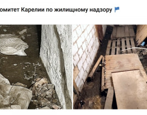 подвал дома