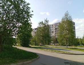 газон