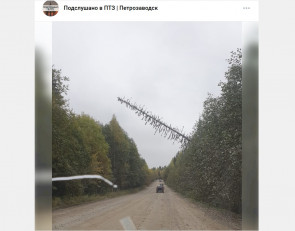 упавшее дерево