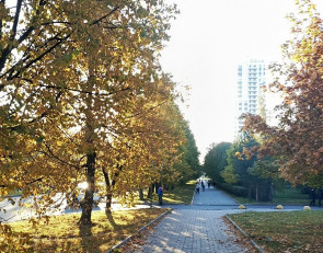 Осеннее утро