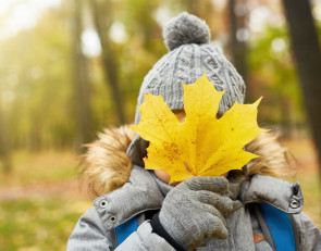 ребёнок с кленовым листом