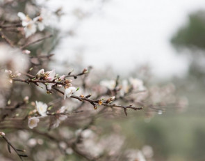 Весна на улице