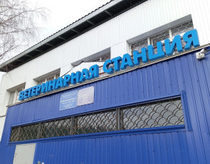 ветстанция