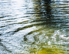 водоем