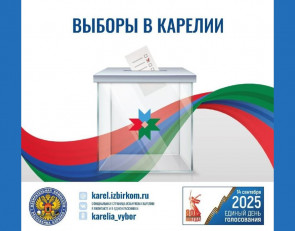 информация о днях выборов