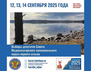 выборы медвежегорский мо