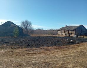 подар_трава_дом