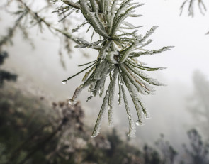 зима_погода_соста_капля_дождь