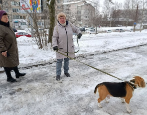 Жители микрорайона Кукковка