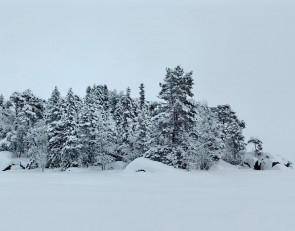 Зима на озере