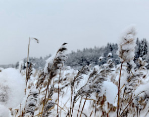 Зима в Карелии