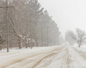 Снежный день