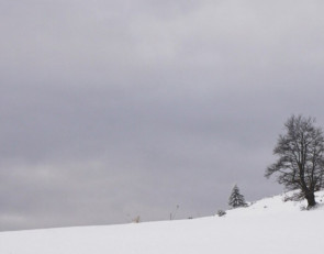 зима_снег_пасмурно