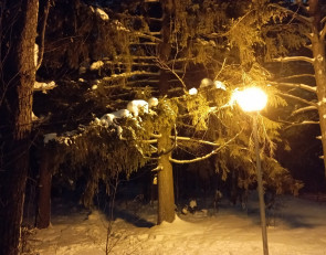 Зима в городе