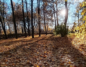 осенний парк