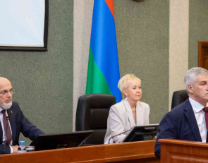 глава и депутаты