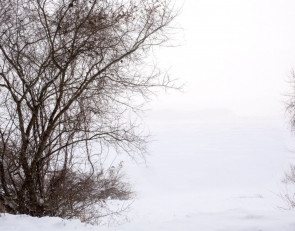 зимний день