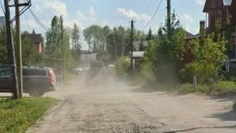 Древлянка пыль