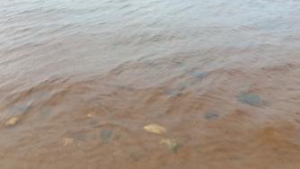 водоем