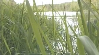 река