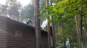 Пожар в Олонецком районе