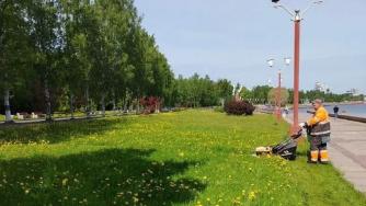Покос травы