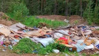Стихийная свалка мусора в лесу