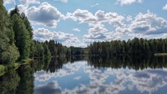 облака отражаются в лесном озере