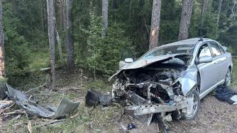 врезавшаяся в дерево легковушка