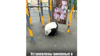 арт-объект пингвин валяется на спортивной площадке
