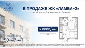 Визуализация ЖК Ламба-2