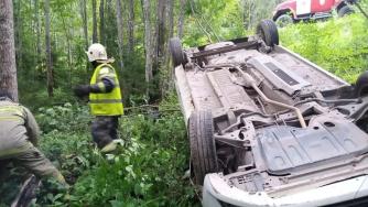 легковой автомобиль в лесу на крыше