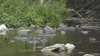 берег реки