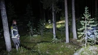 пожарные ночью ищут в лесу заблудившегося человека