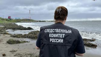 Следователь у моря