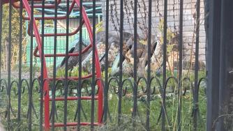 Детский сад в Беломорске