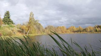 Осень. Озеро. Серое небо