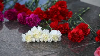 гвоздики у Вечного огня