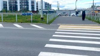 пешеходный переход в петрозаводске