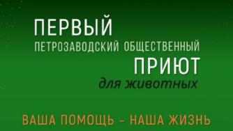 картинка с животными
