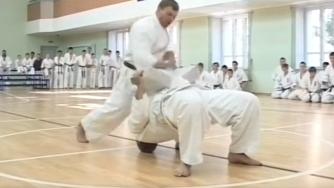 karate man