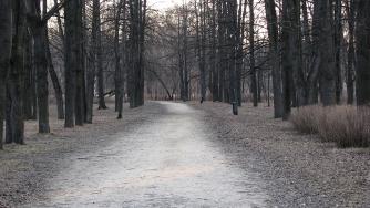Осенняя аллея в парке.