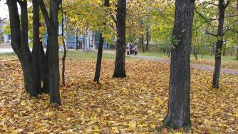 Осенний парк в Петрозаводске.