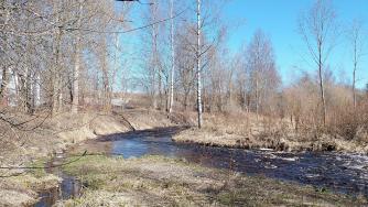 весна_солнце_река