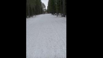 лыжня