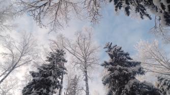 зимнее небо